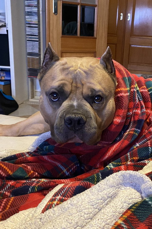 Photo of Kratos, Acting