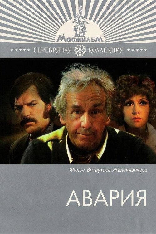 Movie poster for The Accident (1975)