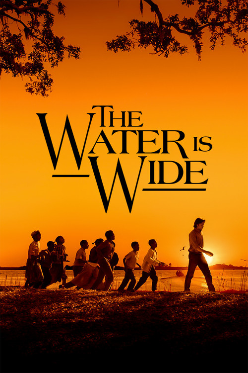 Movie poster for The Water Is Wide (2006)