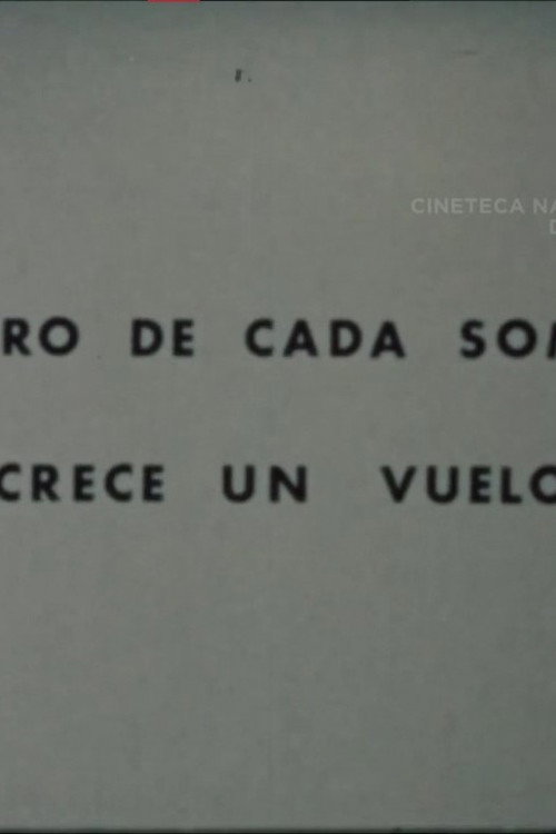 Movie poster for Dentro de Cada Sombra Crece un Vuelo