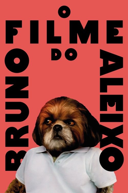 Movie poster for Bruno Aleixo's Film (2020)