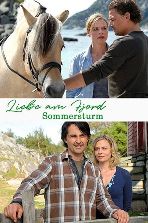 Movie poster for Liebe am Fjord - Sommersturm (2010)