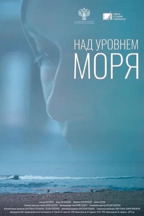 Movie poster for Caspian Hub (2022)
