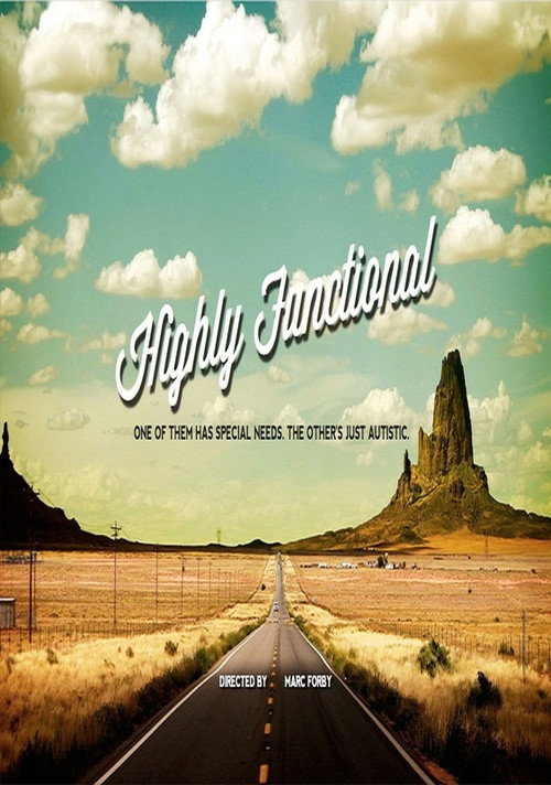 Movie poster for Highly Functional (2017)