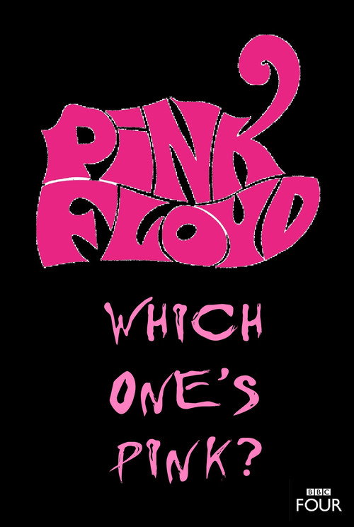 Movie poster for The Pink Floyd Story: Which One's Pink? (2007)