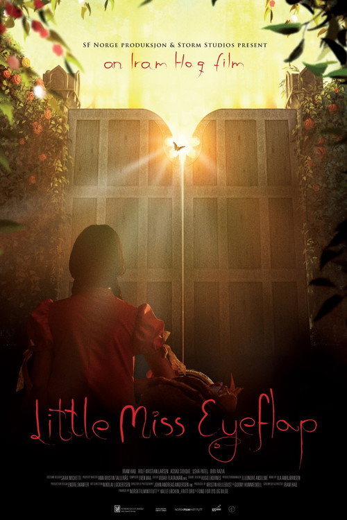 Movie poster for Little Miss Eyeflap (2009)
