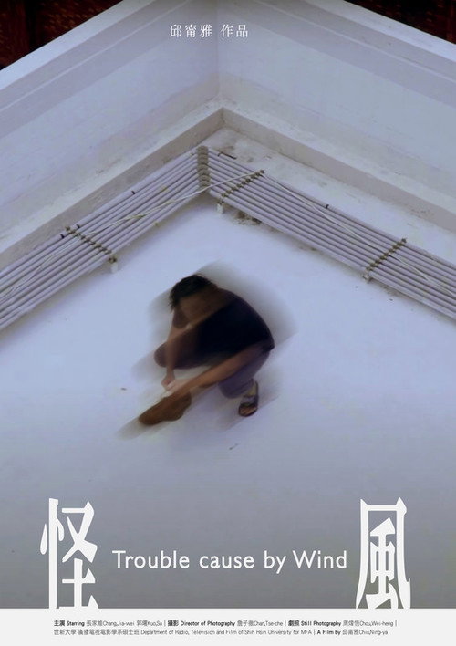 Movie poster for Trouble Cause By Wind (2022)