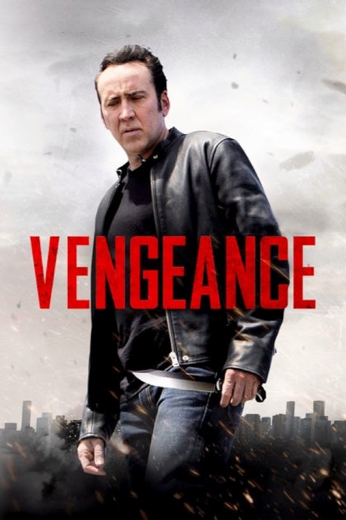 Movie poster for Vengeance: A Love Story (2017)