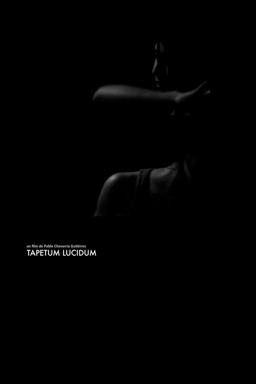 Movie poster for Tapetum Lucidum (2013)