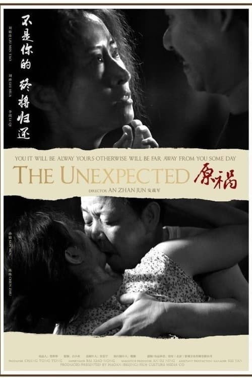 Movie poster for The Unexpected (2016)