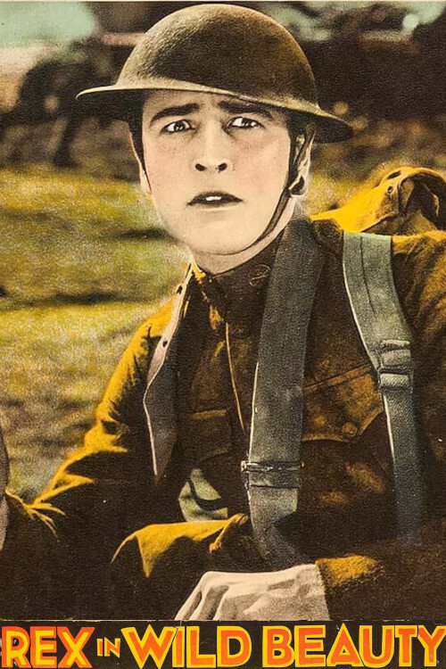 Movie poster for Wild Beauty (1927)