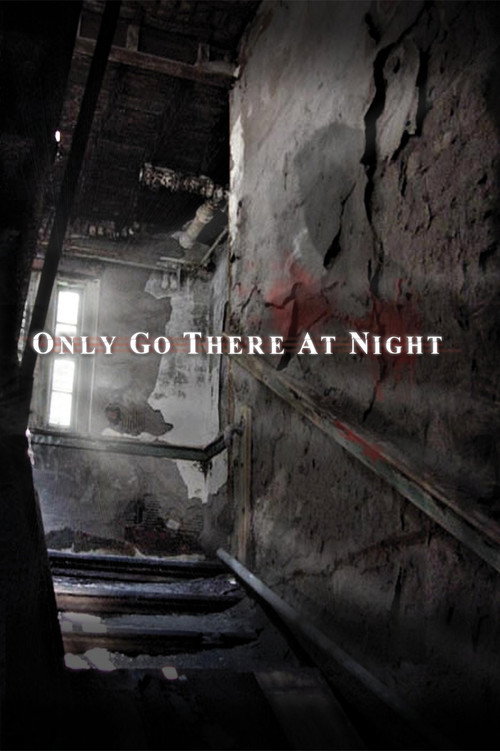 Movie poster for Only Go There At Night