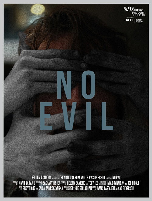 Movie poster for No Evil (2024)