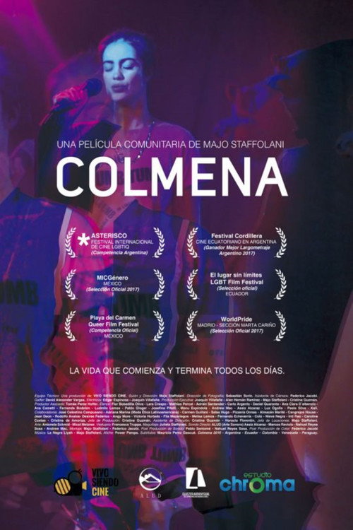 Movie poster for Colmena (2016)