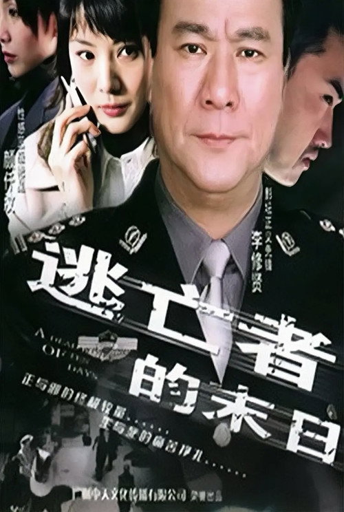 Movie poster for A Deadline of Ten Days (2004)