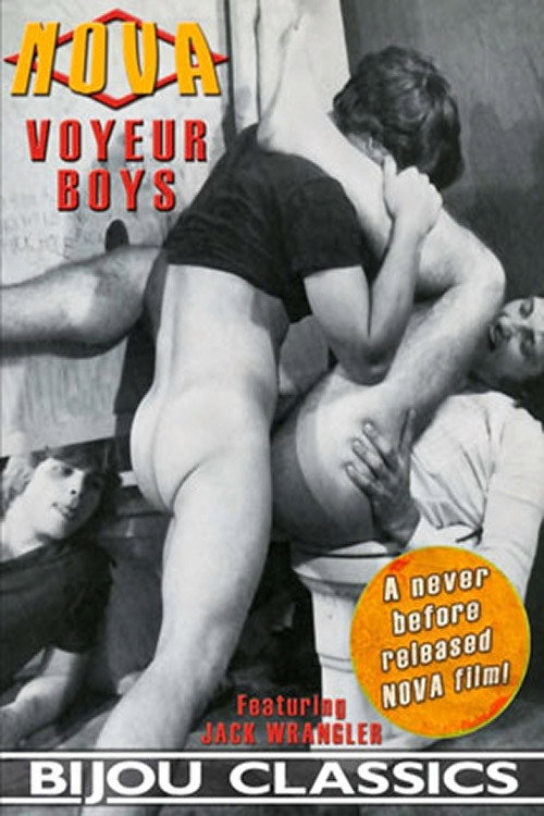 Movie poster for Voyeur Boys (1980)