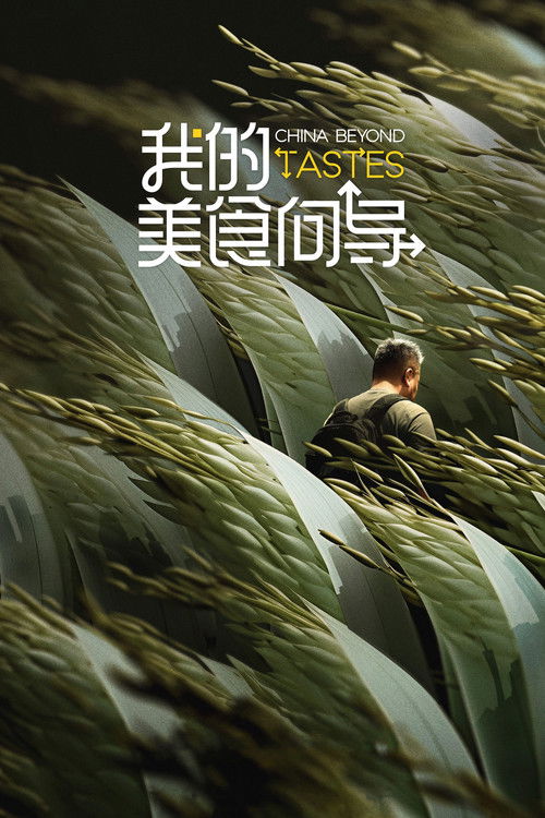 China Beyond Tastes poster