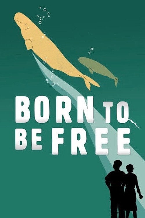 Movie poster for Born to Be Free (2017)
