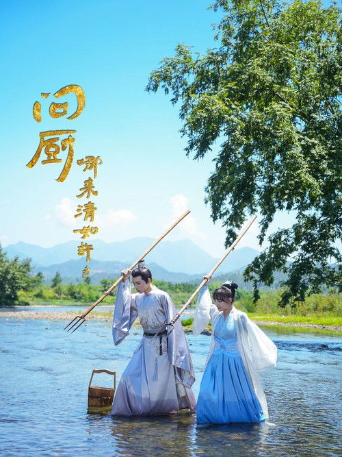 问厨哪来清如许 poster