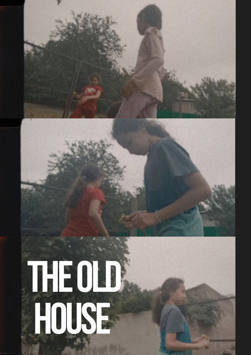 Movie poster for The Old House (2024)