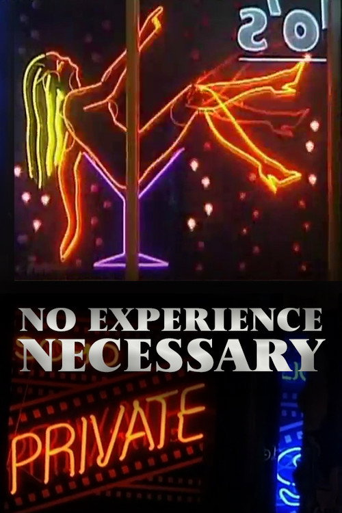 Movie poster for No Experience Necessary (2000)