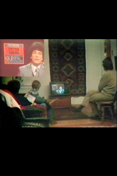 Movie poster for Local TV News Analysis (1980)