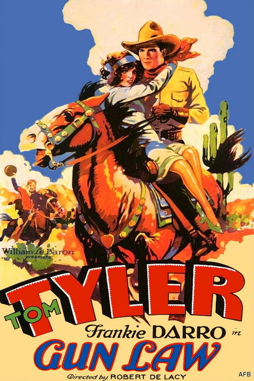 Movie poster for Gun Law (1929)