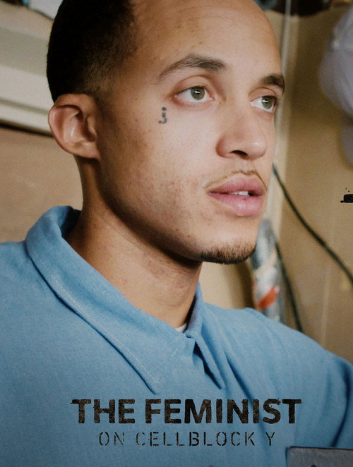 Movie poster for The Feminist on Cellblock Y (2018)