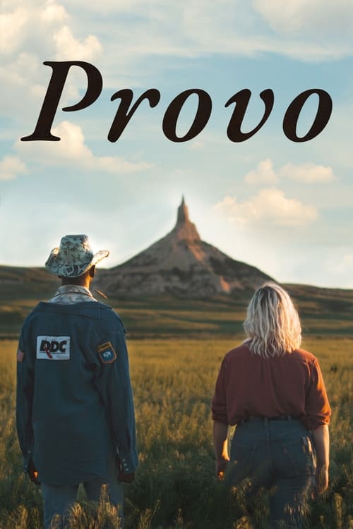 Movie poster for Provo (2022)