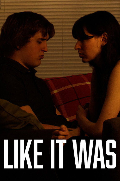 Movie poster for Like It Was (2025)
