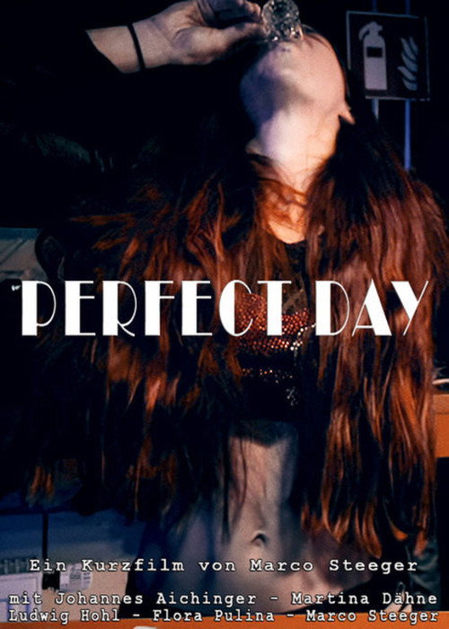 Movie poster for Perfect Day (2021)