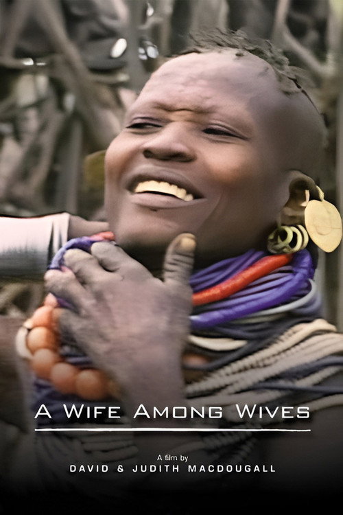 Movie poster for A Wife Among Wives (1981)