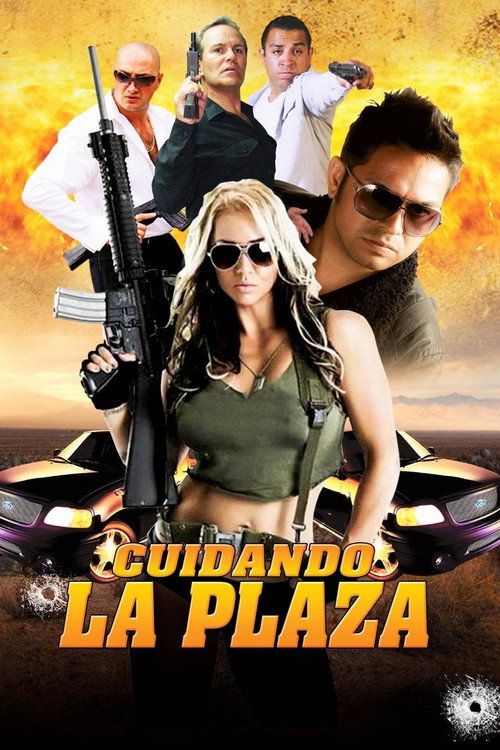 Movie poster for Cuidando la plaza (2016)