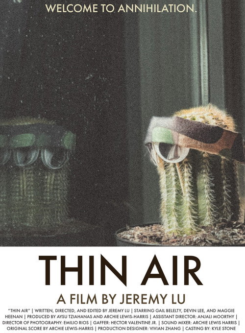 Movie poster for Thin Air