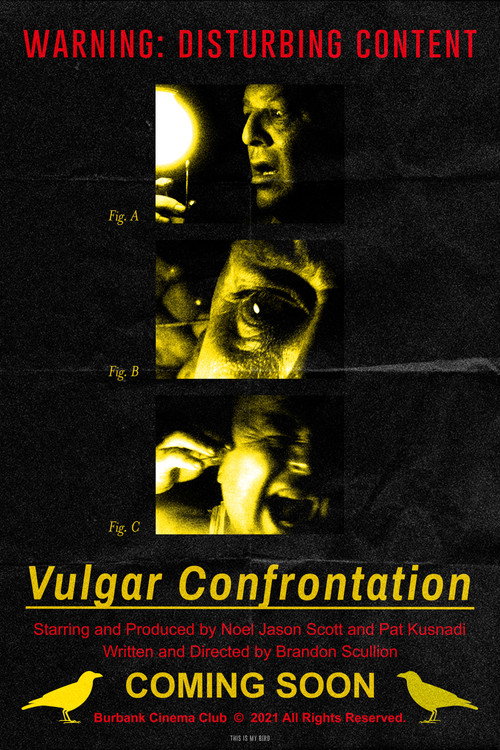 Movie poster for Vulgar Confrontation (2021)