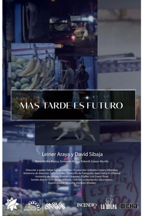 Movie poster for Later refers to the future (2021)
