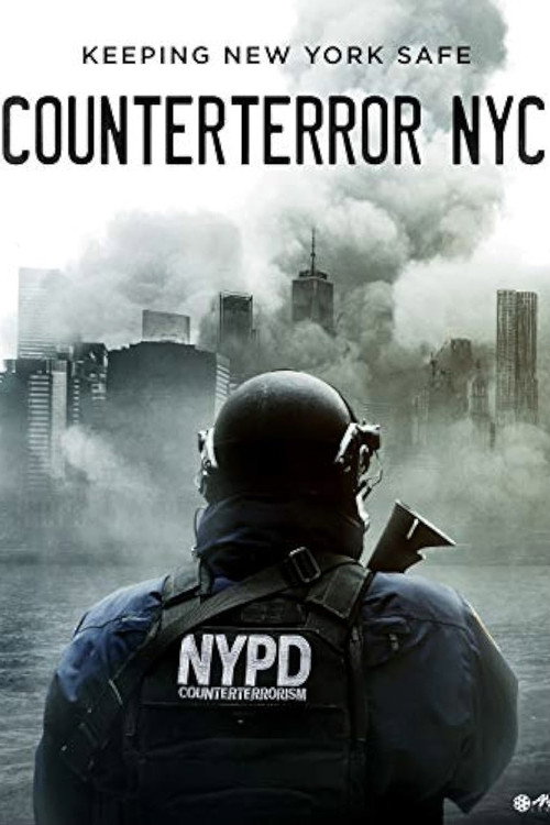 Movie poster for Counterterror NYC (2011)