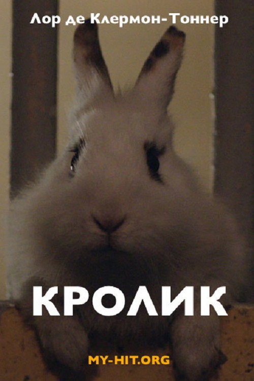 Movie poster for Rabbit (2014)