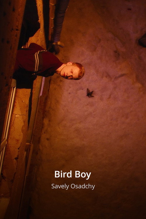 Movie poster for Bird Boy (2025)
