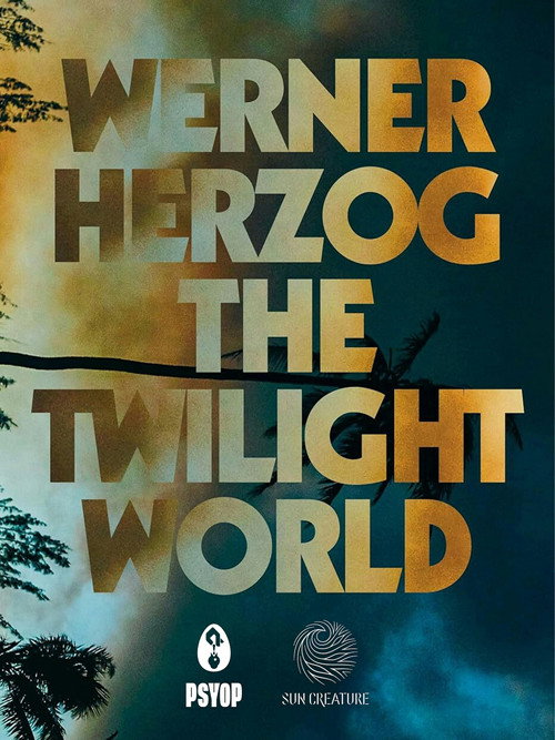 Movie poster for The Twilight World
