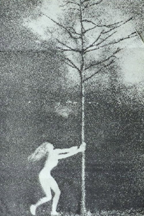 Movie poster for The Phallic Forest (1970)