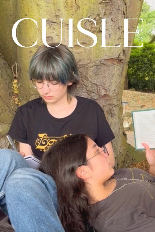Movie poster for Cuisle (2024)