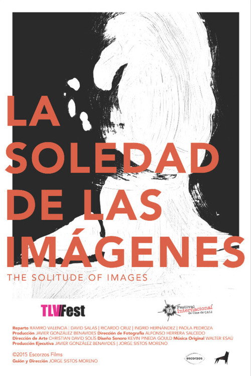 Movie poster for The Solitude of Images (2016)