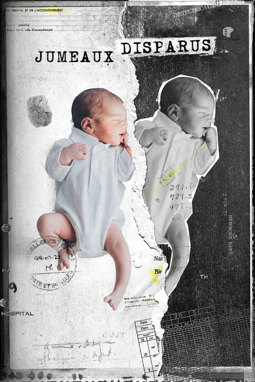 Jumeaux disparus poster