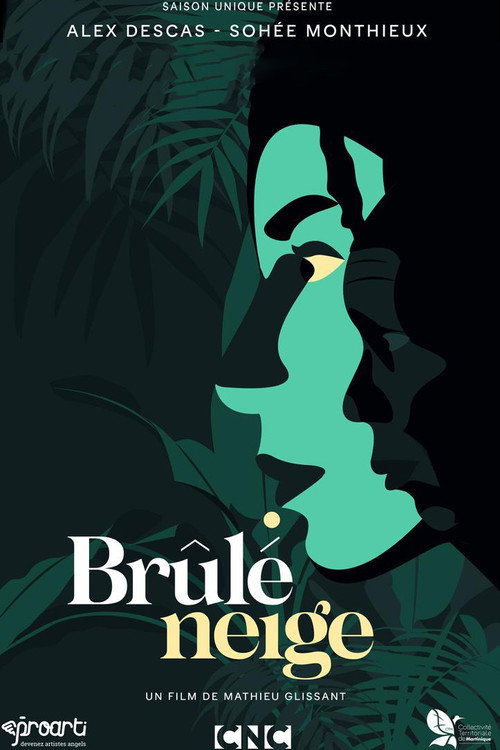 Movie poster for Brûlé neige (2022)
