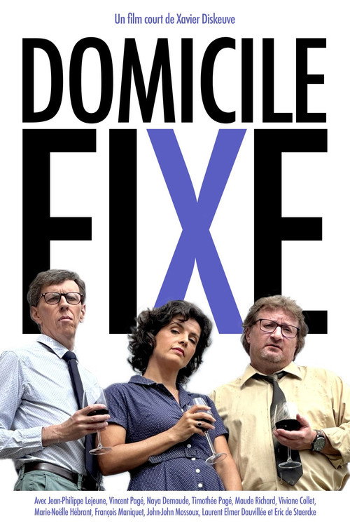 Movie poster for Domicile fixe (2024)