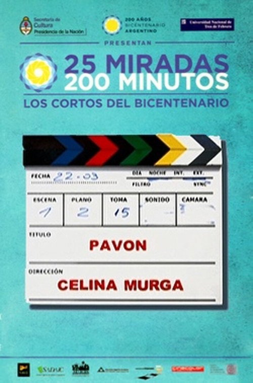 Movie poster for Pavón (2010)