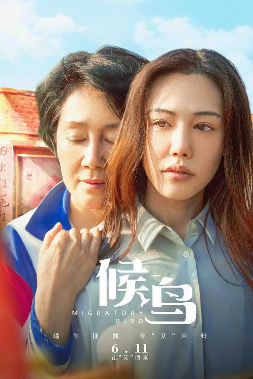 Movie poster for Migrant Bird (2021)