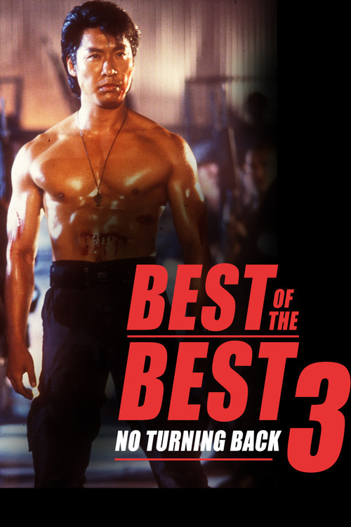 Movie poster for Best of the Best 3: No Turning Back (1995)