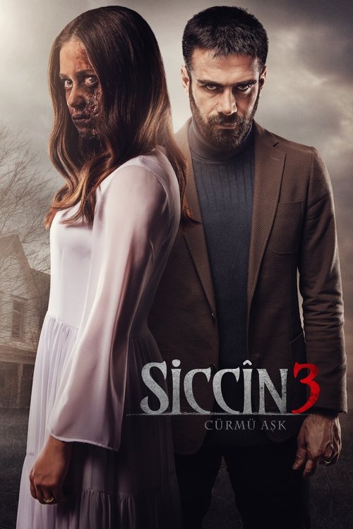 Movie poster for Sijjin 3: The Forbidden Love (2016)